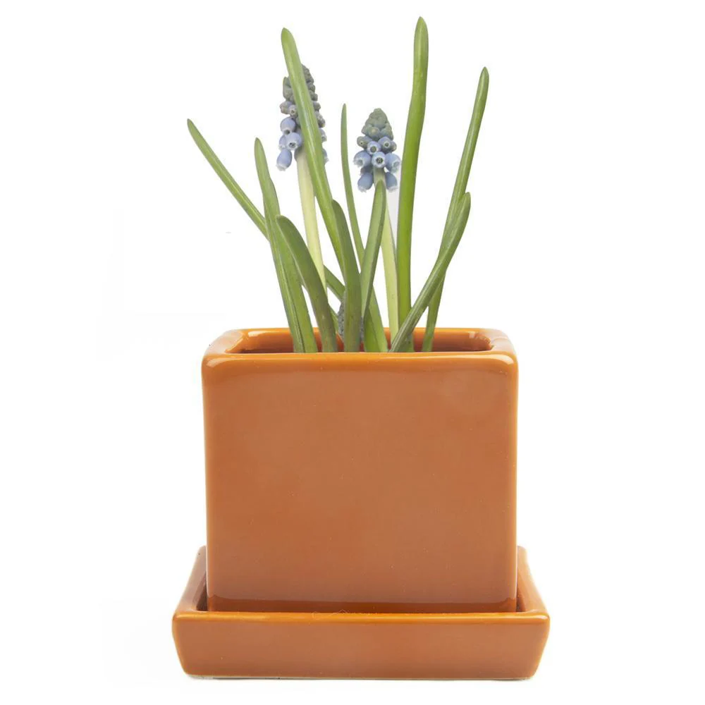 Ceramic Cube & Saucer Plant Pot - Image 8